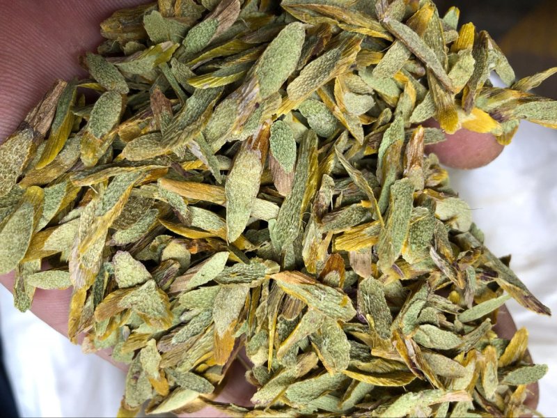 铁皮石斛片切片霍山仿野生石斛枫斗