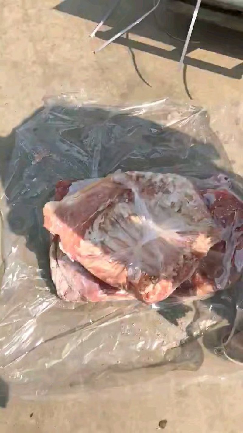 厂家直销精品乳牛大排，优质原材料，一手货源牛排骨