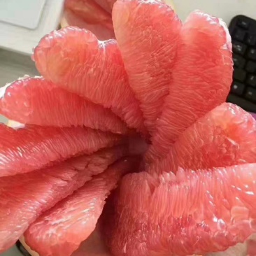 红心蜜柚【三红！】