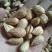 巴旦木原味生巴旦木***剂产地直销