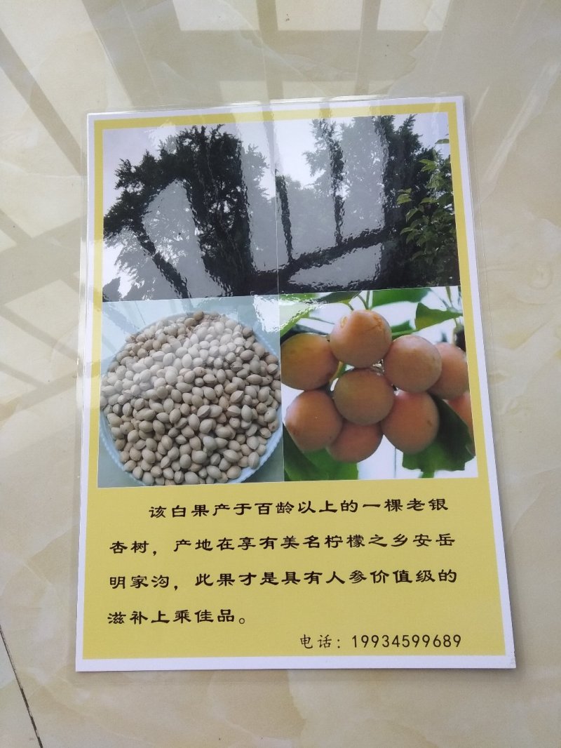 白果仁