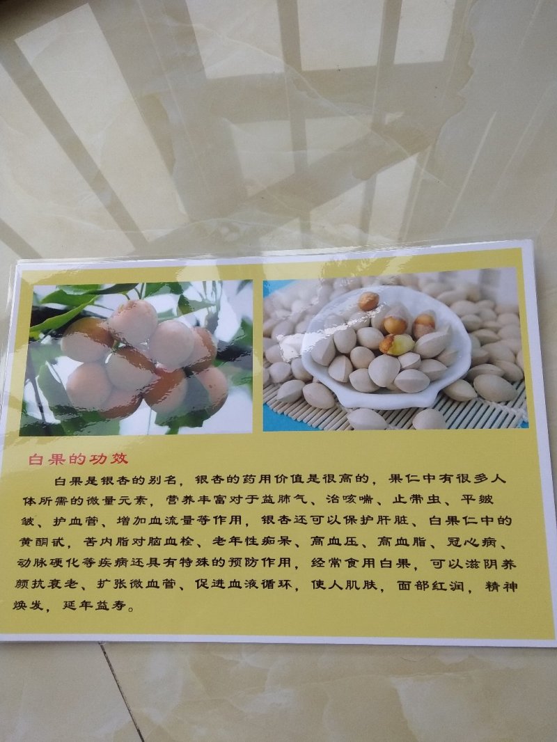 白果仁