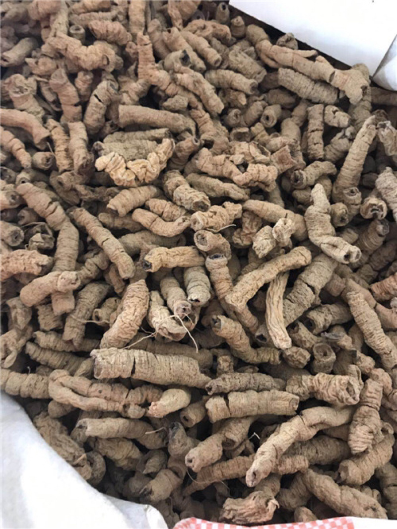 巴戟肉