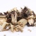 磨盘草,道地药材,质优价实,品质保证,药典标准一公斤起批