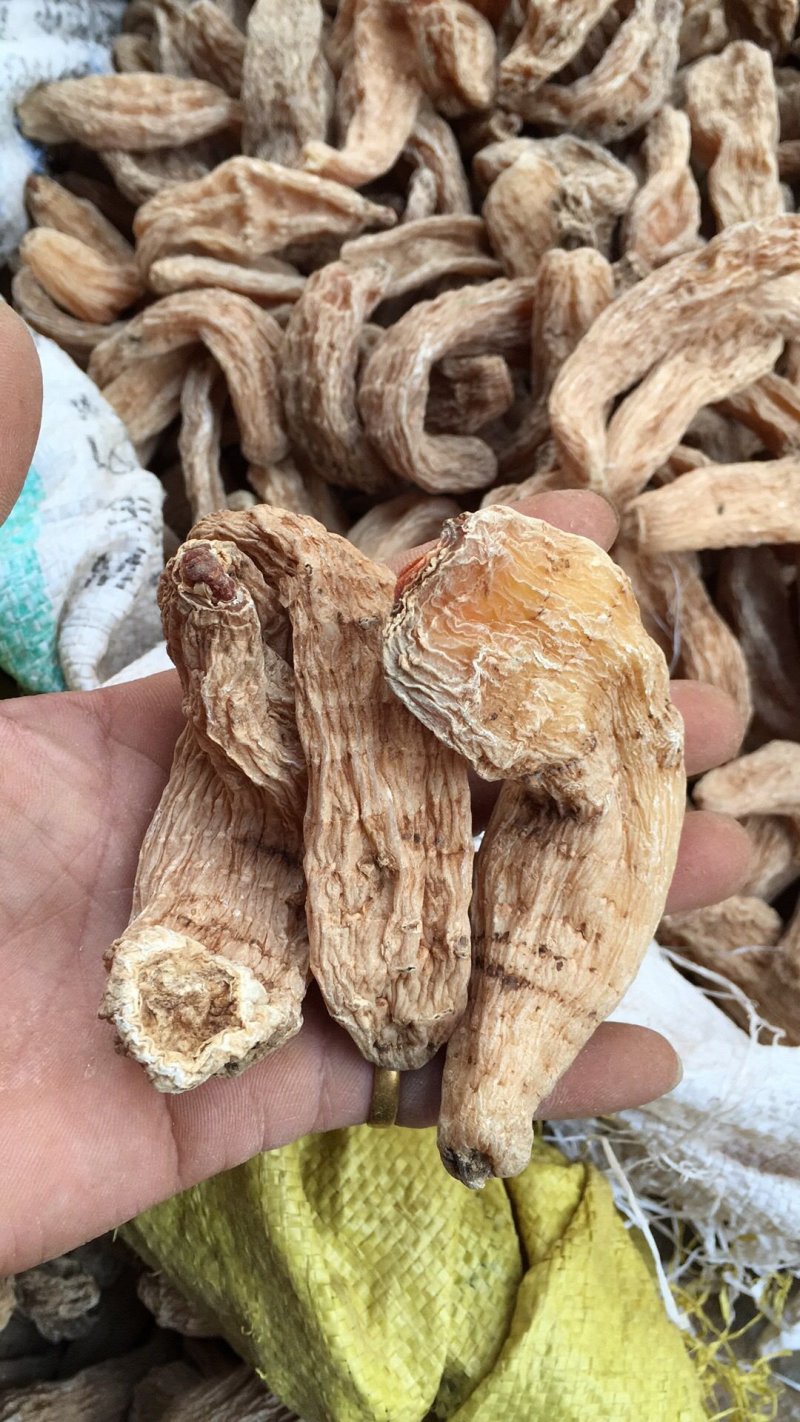 特级丽江红天麻10条8条一斤精选无琉甜天麻
