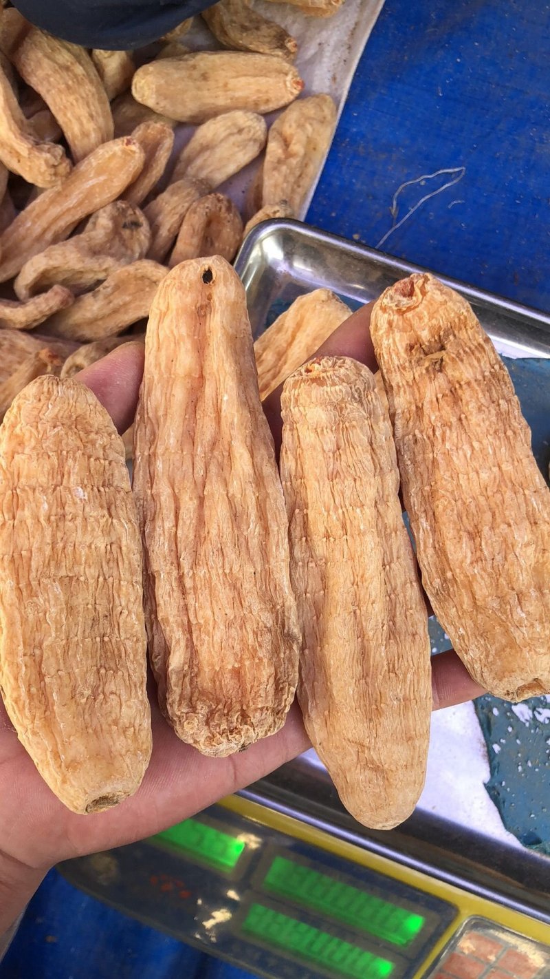 特级丽江红天麻10条8条一斤精选无琉甜天麻