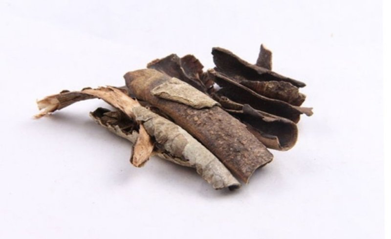 救必应，道地药材，质优价实，品质保证，药典标准一公斤起批