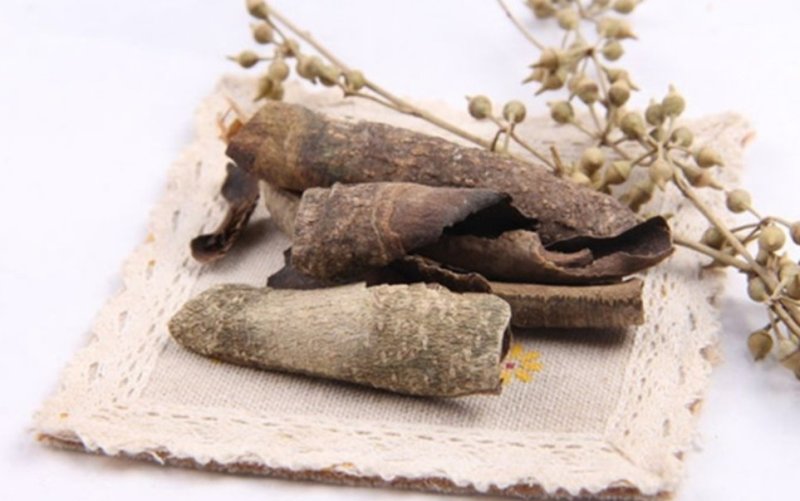 救必应，道地药材，质优价实，品质保证，药典标准一公斤起批