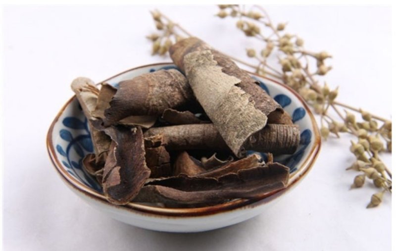 救必应，道地药材，质优价实，品质保证，药典标准一公斤起批