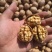 阿克苏185纸皮核桃/185纸皮核桃/新疆纸皮核桃新货
