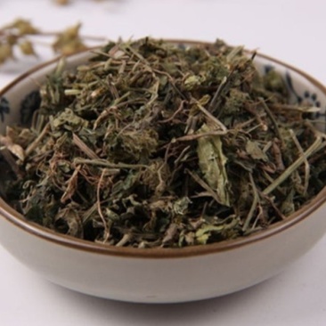 爵床，道地药材，质优价实，品质保证，药典标准一公斤起批