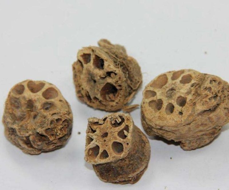 藕节，道地药材，质优价实，品质保证，药典标准一公斤起批