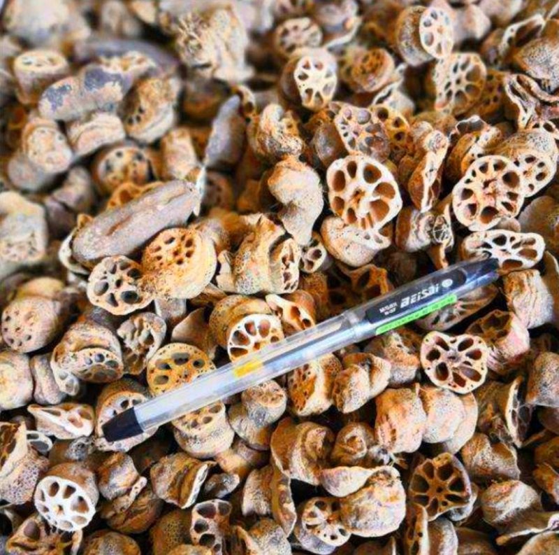 藕节，道地药材，质优价实，品质保证，药典标准一公斤起批