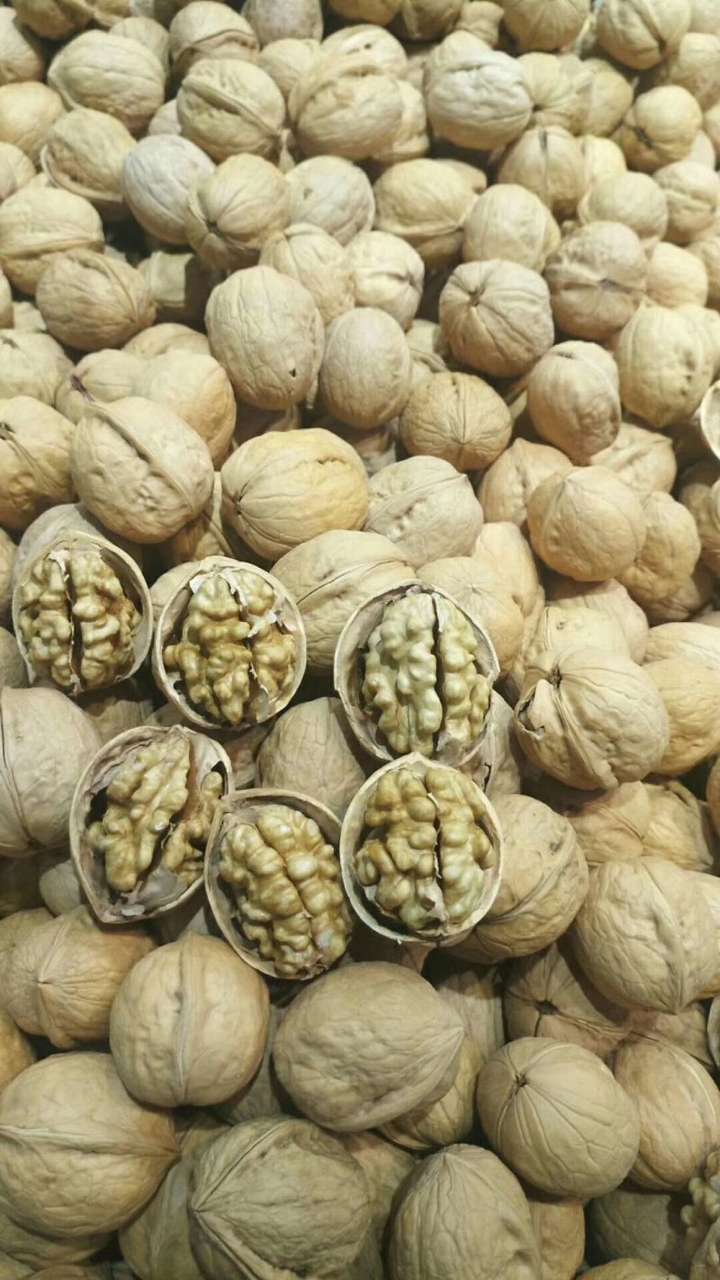 185纸皮核桃（个个尖白仁）