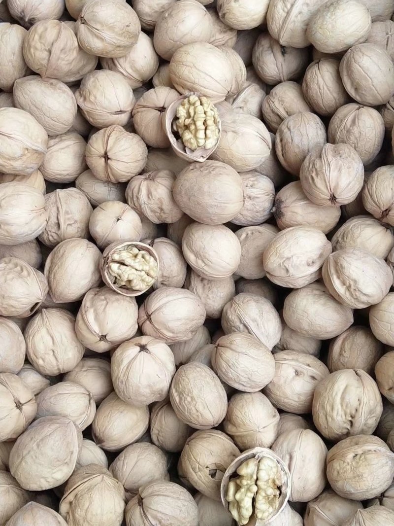 185纸皮核桃（个个尖白仁）