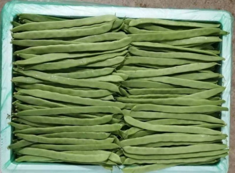 四季豆扁豆小金豆刀豆25-30cm原产地直供