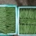 四季豆扁豆小金豆刀豆25-30cm原产地直供