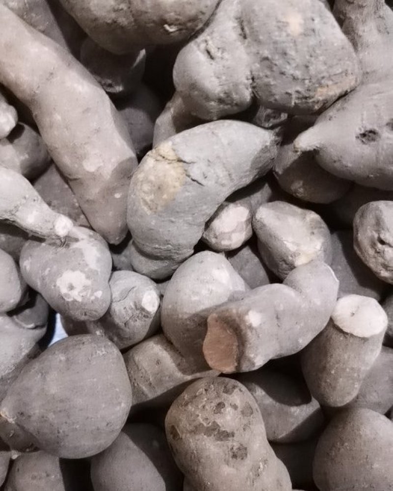 三叶青优质无硫三叶青产地直销常年批发中药材花茶