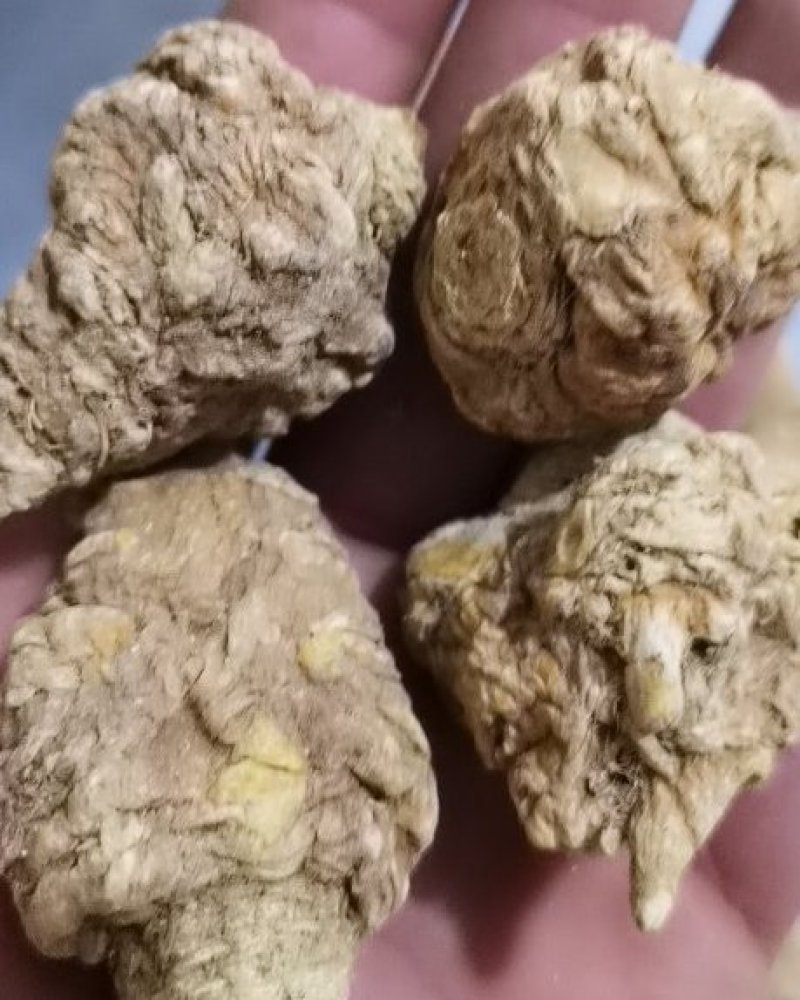 同奎中药材批发黄玛咖秘鲁玛咖批发各种中药材