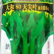 80天尖叶甜菜心400克清脆甜，粗条