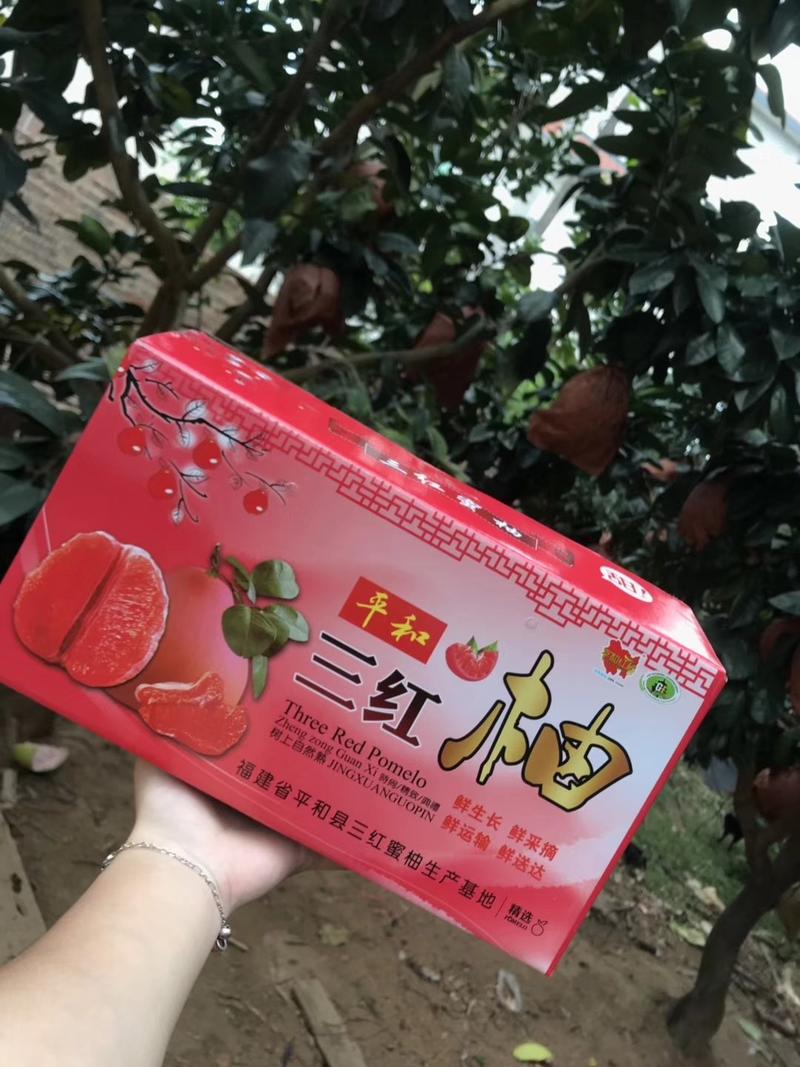 平和琯溪蜜柚三红柚礼盒包装