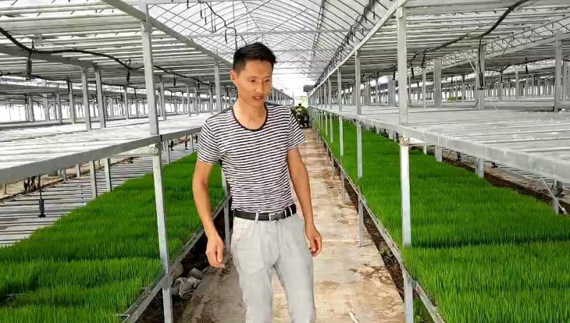 南粳46大米加工，现碾直发，各种礼盒💝直发，合作共赢…