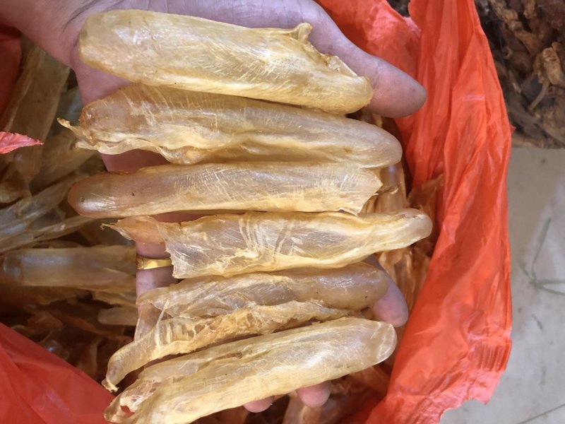 黄花胶筒100头60头礼盒装350克