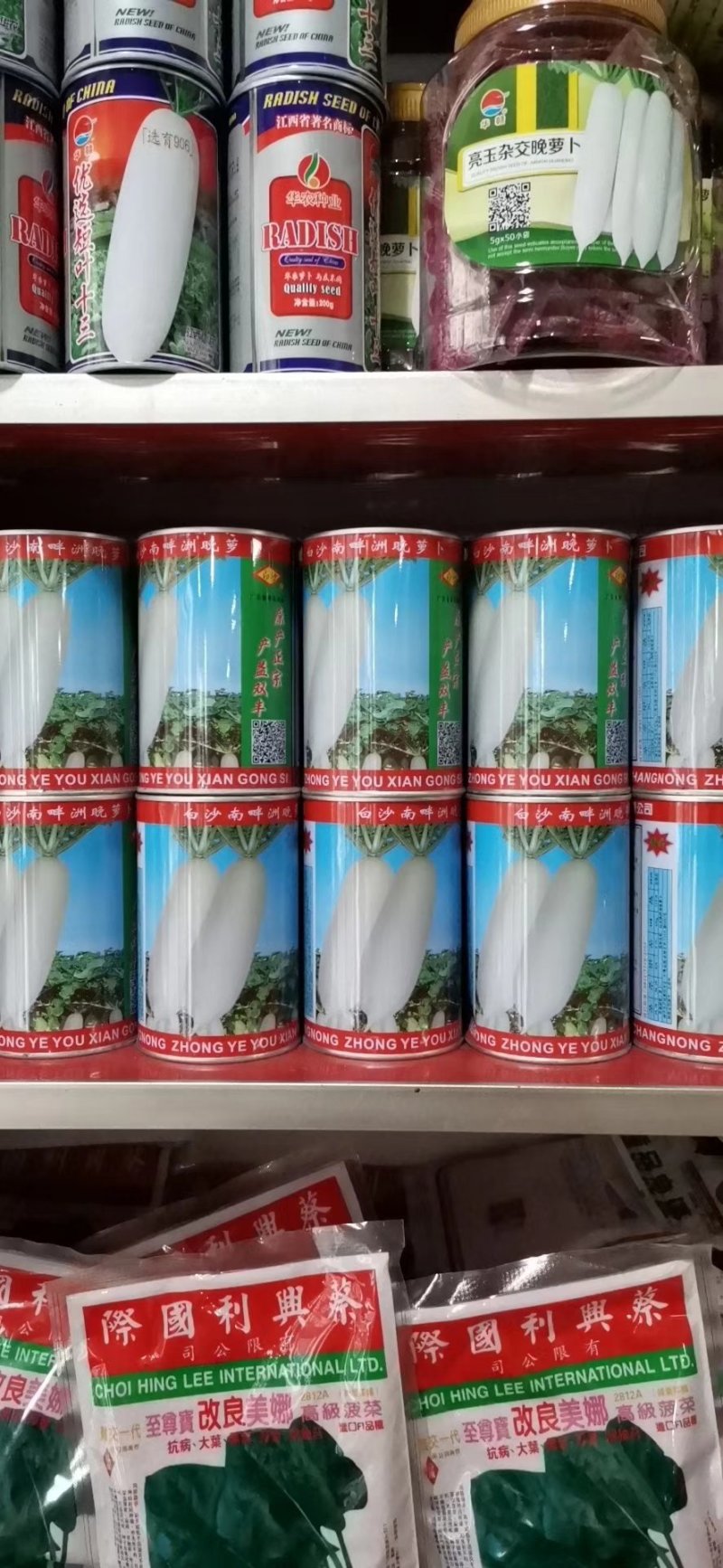 白沙南畔洲晚萝卜种子亩产万斤优良品质400克