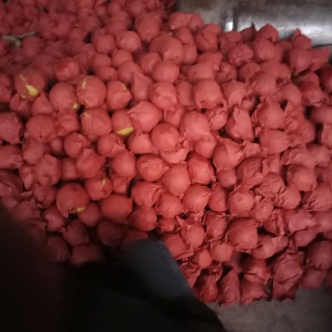 雪花梨