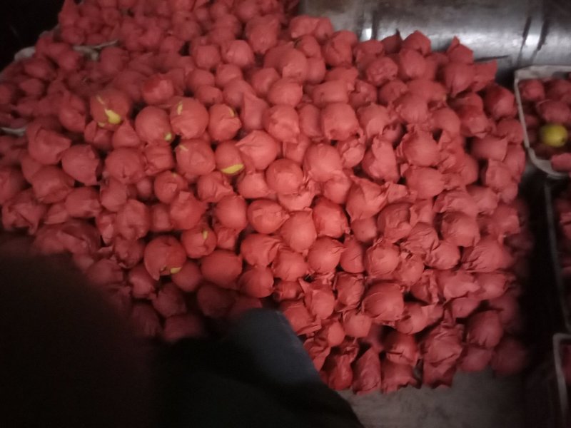 雪花梨