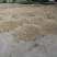 压榨纯花生油=代加工代加工