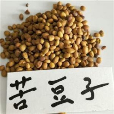 苦豆子千余品种供应承接订单