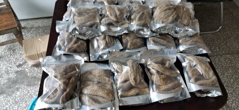 天麻野外仿野生天麻，干天麻素含量高