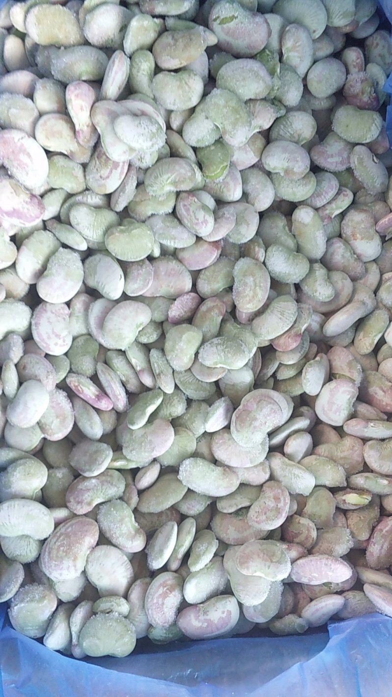 速冻荷包豆质量不错，