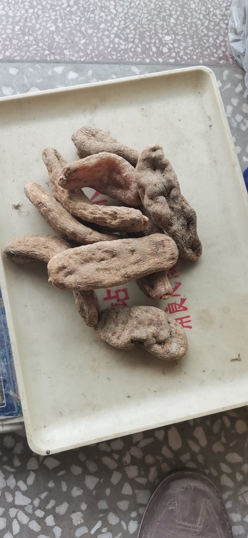 天麻野外仿野生天麻，干天麻素含量高