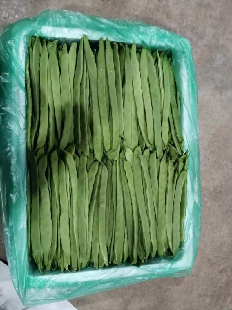 四季豆无筋豆扁豆豇豆豆王刀豆