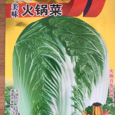 【有好货】火锅菜种子美味火锅菜种子