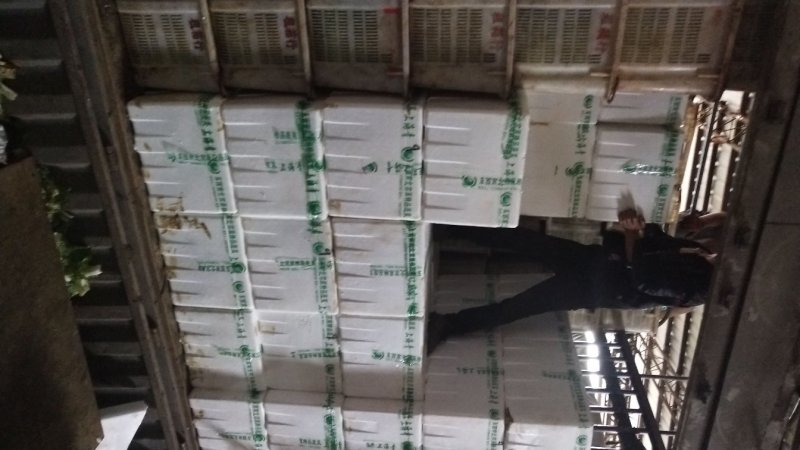 四季豆无筋豆扁豆豇豆豆王刀豆