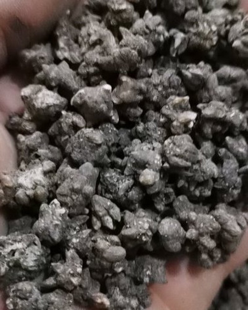 猫爪草水洗优质猫爪草小猫爪草三散草产地直销批发