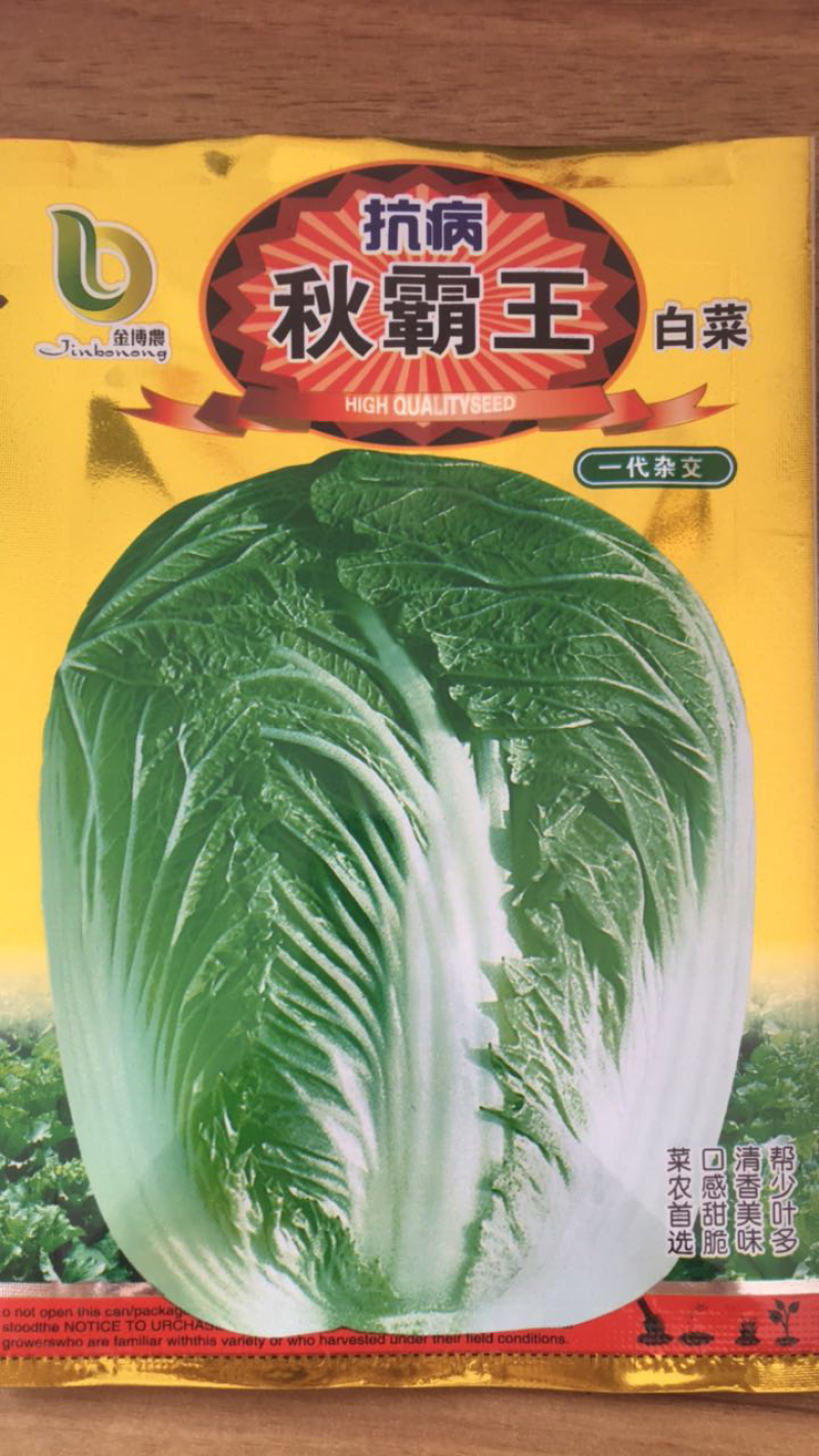 秋霸王白菜种子养生大白菜