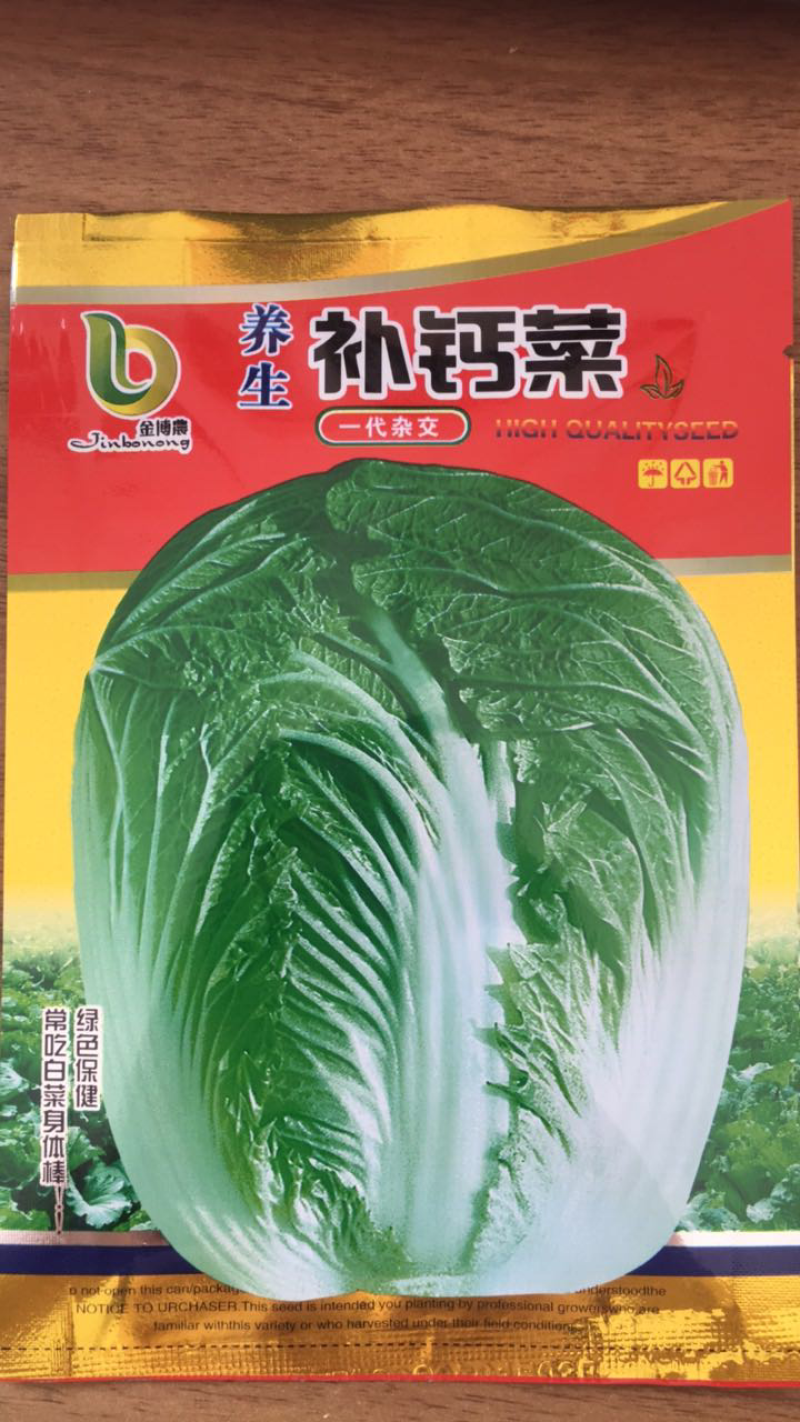 大白菜养生补钙菜种子营养大白菜