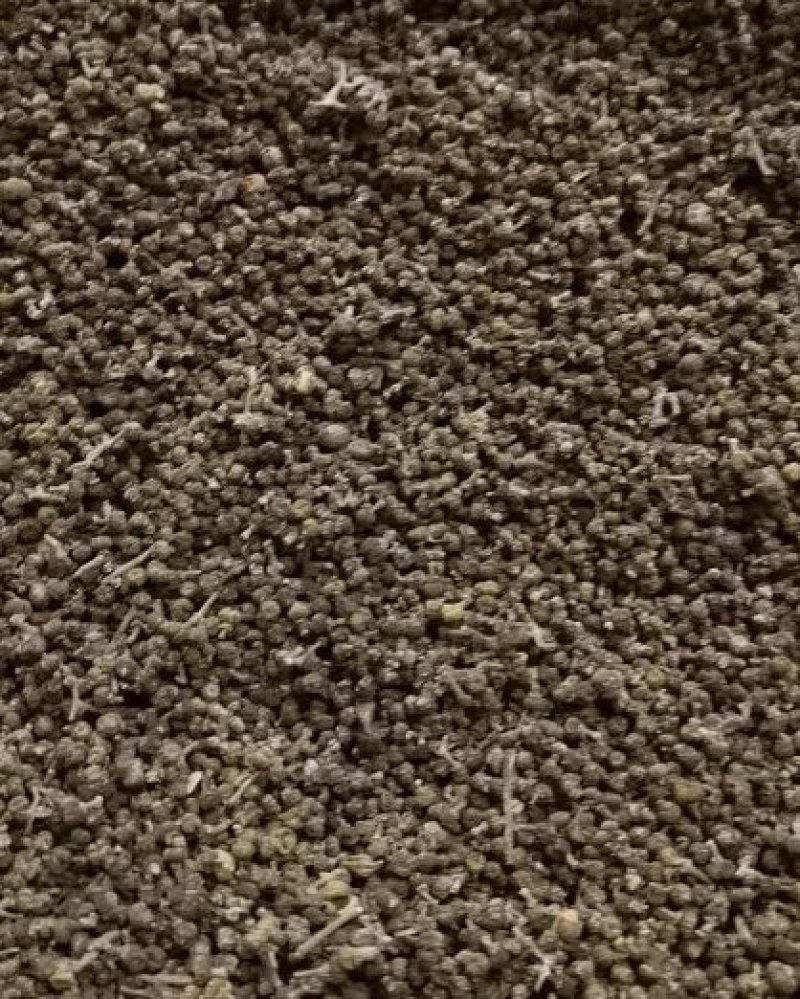 同奎中药材批发吴茱萸