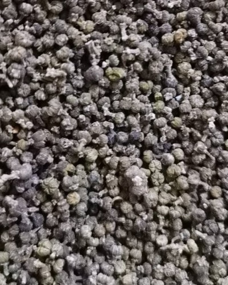 同奎中药材批发吴茱萸