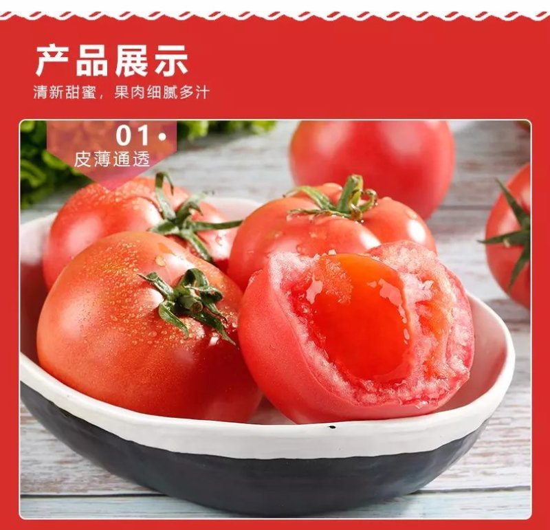 【品质果】米易露天番茄沙瓢番茄原生态包邮一件代发