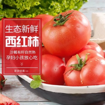 【品质果】米易露天番茄沙瓢番茄原生态包邮一件代发