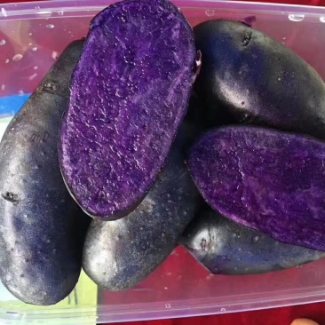 黑金刚黑土豆