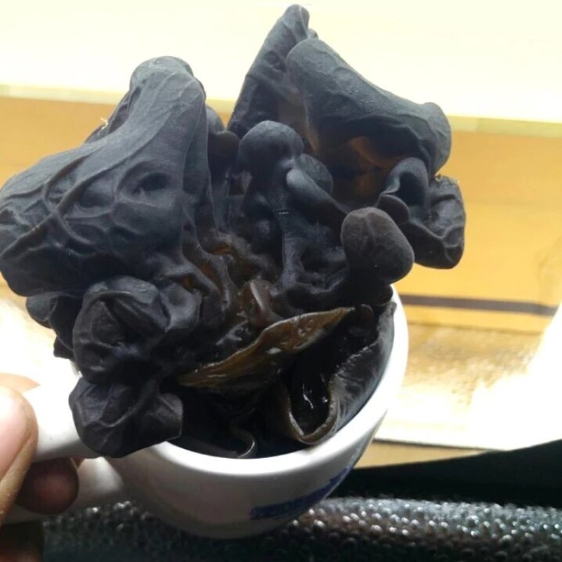 黑木耳河南深山野生特级卢氏黑木耳干货新鲜礼品包装袋椴木耳