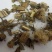 大蓟统货，道地药材，质优价实，品质保证，药典标准一公斤起