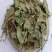 广金钱草，产地广西道地药材，质优价实，品质保证，药典标准
