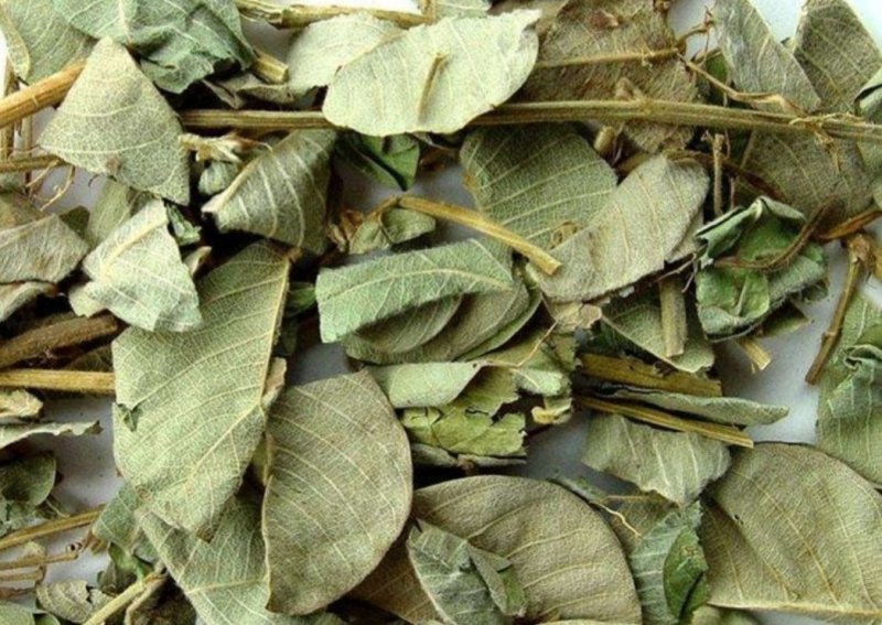 广金钱草，产地广西道地药材，质优价实，品质保证，药典标准